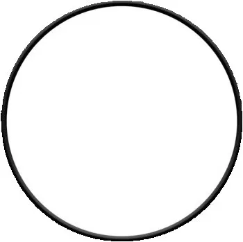 sera O kroužek rotoru 48,5mm PP12000