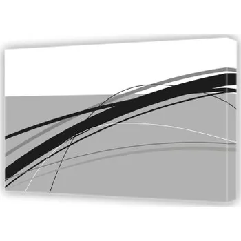 Podložka pod nábytek Vlásečnice - Obraz na plátně (40x100)