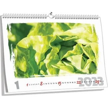 Fotokalendář Nástěnný kalendář NKN-25 (A1)