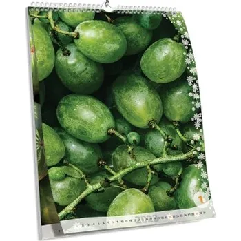 Fotokalendář Nástěnný kalendář NKN-53 (A1)