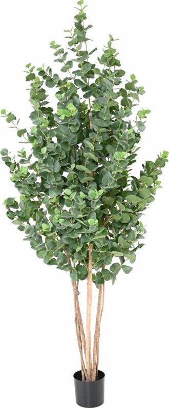 EUCALYPTUS GUNNII BUSH, 190cm (Luxusní umělý keř)