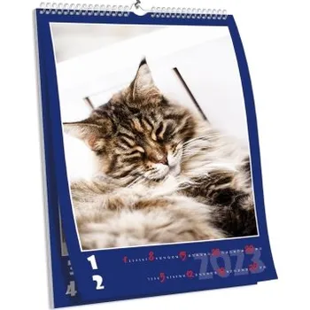 Fotokalendář Nástěnný kalendář NKN-121 (A4)