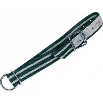 Obojek pro telata, 100 x 4cm nylon, zeleno bílý, s oválným článkem a kruhem D