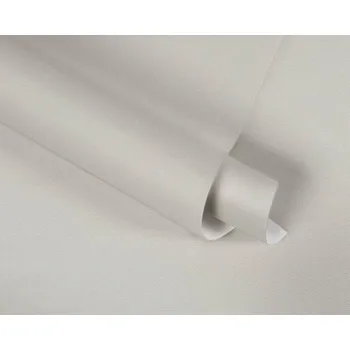 Tapeta p492470064 A.S. Création vliesová tapeta na zeď Styleguide Colours 2024 jednobarevná, velikost 10,05 m x 53 cm