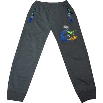 xcena Chlapecké tepláky s dinosaury Velikost: 110