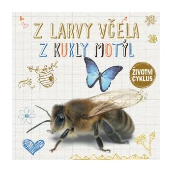 Bystrá hlava Svojtka Z larvy včela, z kukly motýl - Životní cyklus