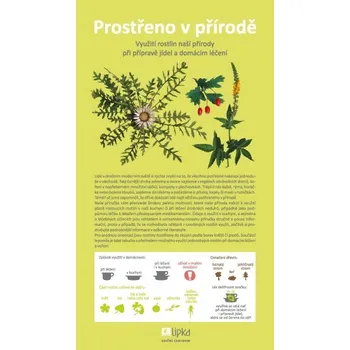 Lipka Prostřeno v přírodě