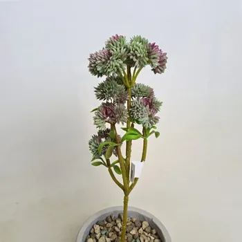 umělá květina Umělý sukulent Sedum zeleno-šedý 34cm - Do interiéru
