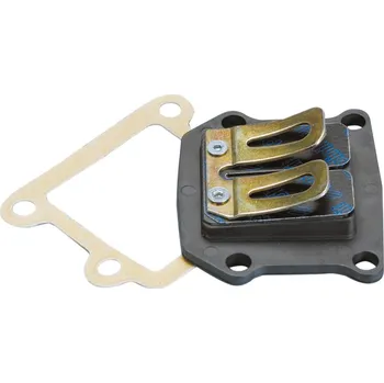 Karburátor Polini Klapky Polini, Minarelli vertical 213.0050