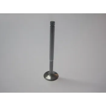 Válec motoru Sací ventil 1ks, Piaggio Leader 125-300ccm LC PI872999