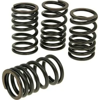 Válec motoru Malossi Sada ventilových pružin Malossi, Honda SH300i (07-), Forza 300i M2914680