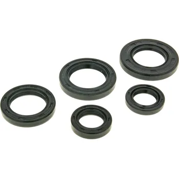 Těsnění pro motocykl Naraku Sada gufer motoru Morini AC (stará verze), Malaguti 100 2T NK167.27