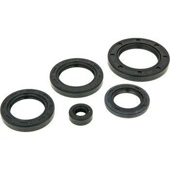 Těsnění pro motocykl Naraku Sada gufer motoru Honda Pantheon 125-150 LC 1998-2002 NK167.14