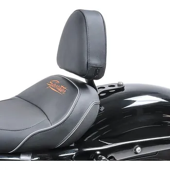 Moto sedlo Opěrka řidiče pro Harley Davidson Sportster Forty-Eight 48 10-20