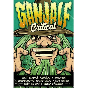 Pěstitelství GANJALF CRITICAL (Feminizovaná semena GANJALF CRITICAL)
