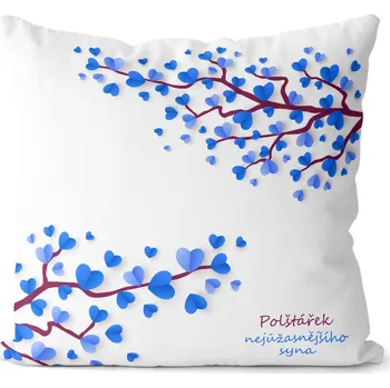 Dekorativní polštářek Polštářek Neúžasnějšího syna (Velikost: 40 x 40 cm)