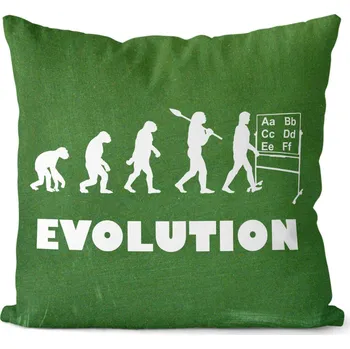 Dekorativní polštářek Polštář Evoluce učitelé (Velikost: 40 x 40 cm)