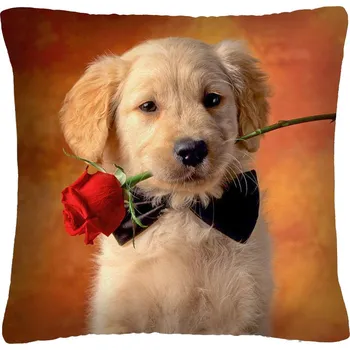 Polštář s motivem psa 33 Mybesthome 40x40 cm Varianta: Povlak na polštář, 40x40 cm