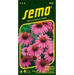 SEMO Třapatka nachová purpurově růžová…