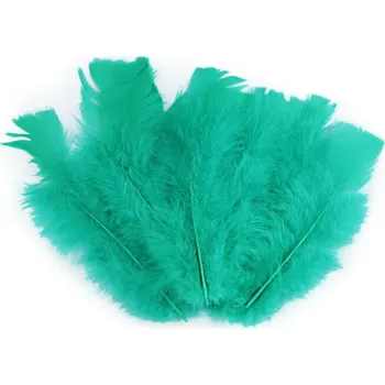 Výtvárné potřeby Krůtí peří délka 11-17 cm, barva 29 tyrkys mořský