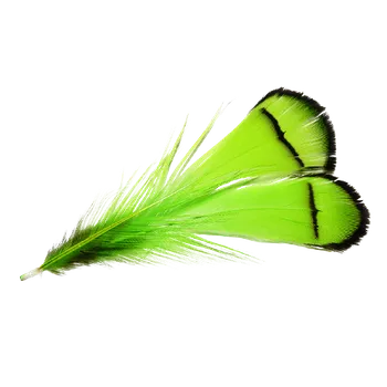 PEŘÍ STŘÍBRNÉHO BAŽANTA KRČNÍ - fluo zelené