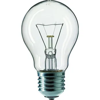 TECHLAMP 100 W E27 čirá