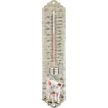 Domácí teploměr Nástěnný teploměr s motivem selátka