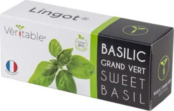 semena Véritable Lingot BIO bazalka