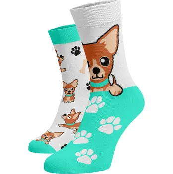 Dámské ponožky Veselé ponožky Čivava Bílá Bavlna 42-44