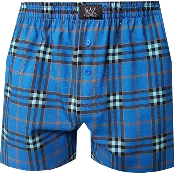 Pánské spodní prádlo Pánské Trenkoslipy FOLTÝN PTS 259 Velikost: L