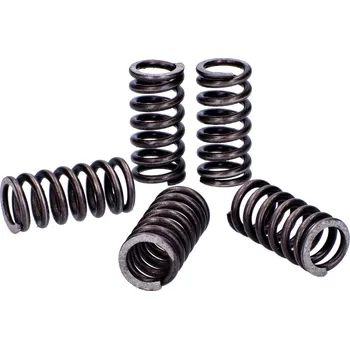 Malossi Sada pružin spojky Malossi, Derbi EBE, EBS, D50B M.2912018