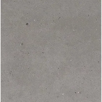 Dlažba Dlažba Graniti Fiandre Fjord grey 60x60 cm mat AS209X860R10