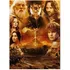 Puzzle Winning Moves The Lord of the Rings Mount Doom 1000 dílků