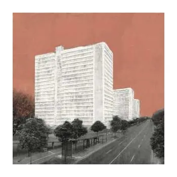 Zahraniční hudba LP Carpet: About Rooms And Elephants LTD 2018 Limited Edition Vinyl