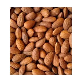 Krmivo pro ptáka Zieler Mandle bez skořápky natural 1 kg