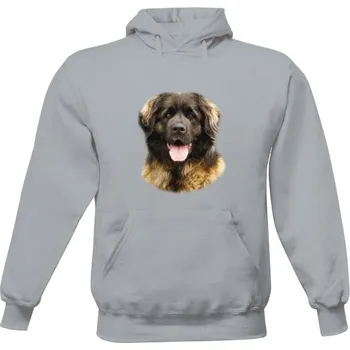 Pánská mikina Pánská mikina s kapucí s potiskem Leonberger pánské