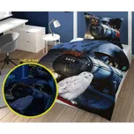 Detexpol Harry Potter Train svítící 140…