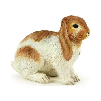 Králík beránek Holland Lop