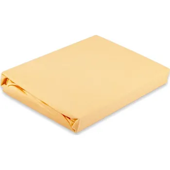 Prostěradlo Vesna Prostěradlo froté Excellent meruňková 120x200 cm