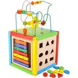 4iQ Dětská dřevěná edukační KOSTKA 5v1