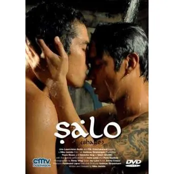 Zahraniční hudba DVD Various: Salo 2011 OmU