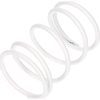 Spojková sada Kontrastní pružina Malossi bílá K9.9 / L100mm, Honda, Kymco, Arctic Cat M.2911072.W0