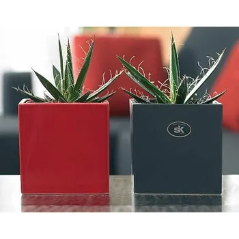 Obal na květináč Latina 15x15 cm (červená)