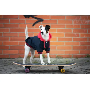 Obleček pro psa Vsepropejska Cailan mikina pro psa Barva: Černá, Délka zad (cm): 25, Obvod hrudníku: 34 - 38 cm