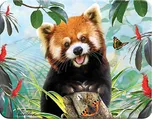Prime 3D 1808668 panda červená 9 x 7 cm