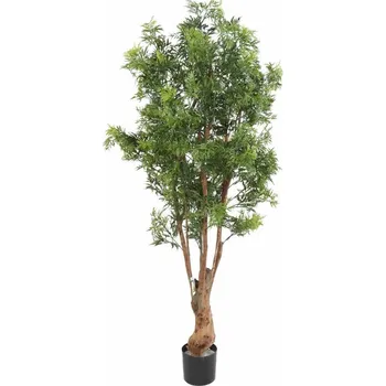 umělá květina Umělý strom Aralia Ming Nitida TN UV, 170cm