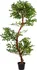 Umělá květina Plantasia Umělý strom jerlín 160 cm
