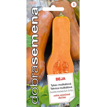 Semeno Dobrá semena Beja tykev muškátová 10 ks