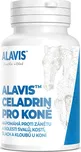 Alavis Celadrin pro koně 60 g