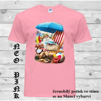 Pánské tričko panske-bavlnene-tricko-uv-potisk-kocky-plaz Barva: Pink neo - matně růžová, velikost: M